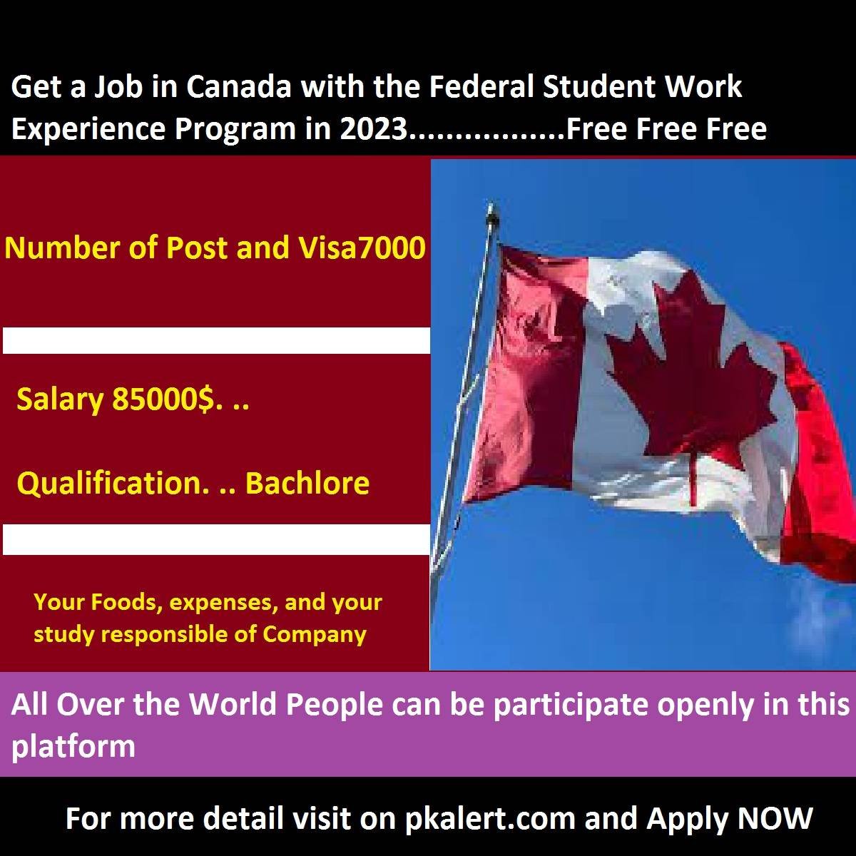Get a Job in Canada with the Federal Student Work Experience Program