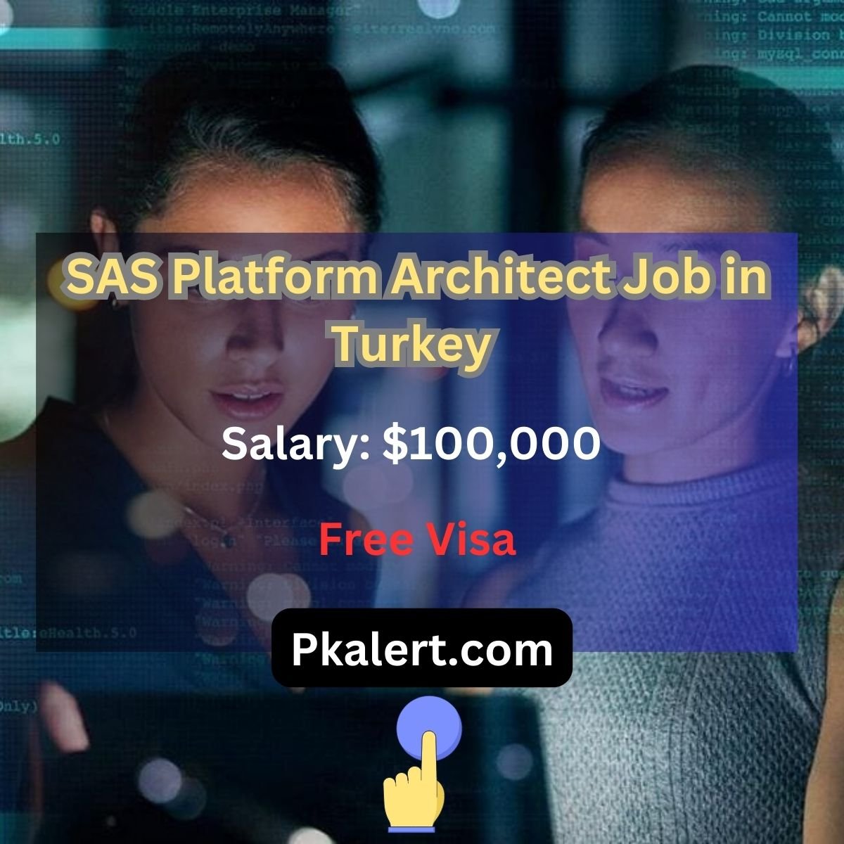 SAS Platform Architect Job in Turkey