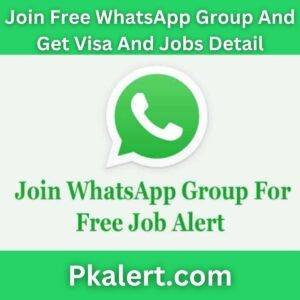 SAS Platform Architect Job in Turkey 2 pkalert