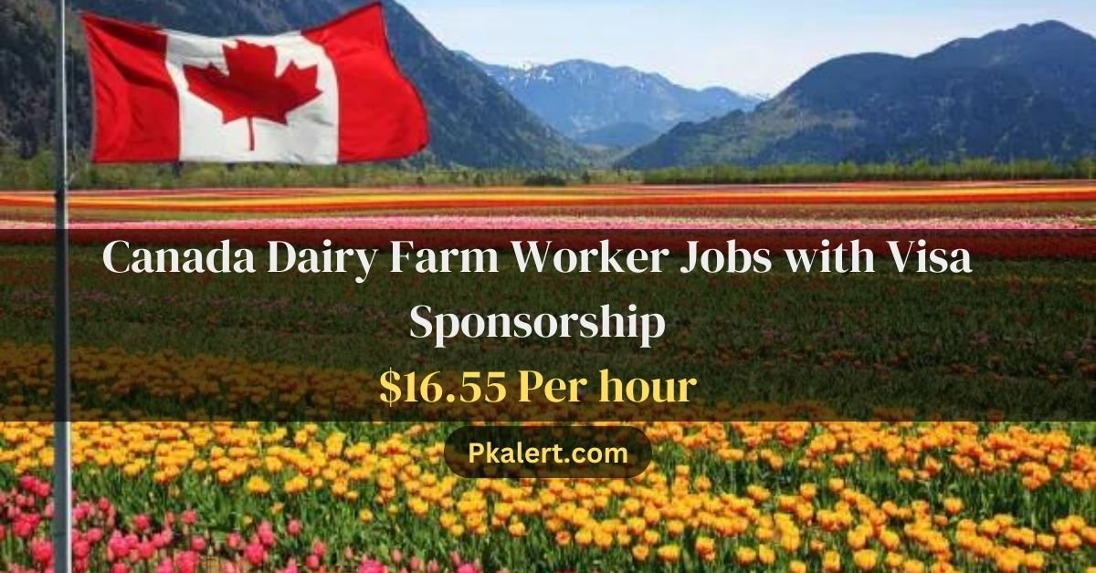 Canada Dairy Farm Worker Jobs with Visa Sponsorship 2023