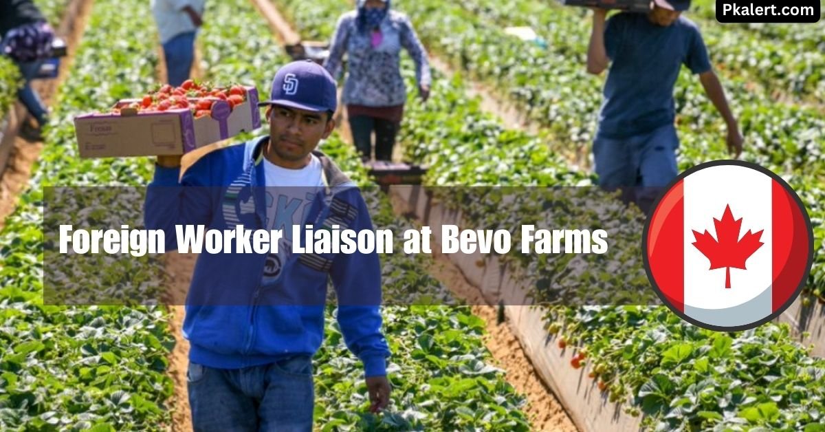 Foreign Worker Liaison at Bevo Farms