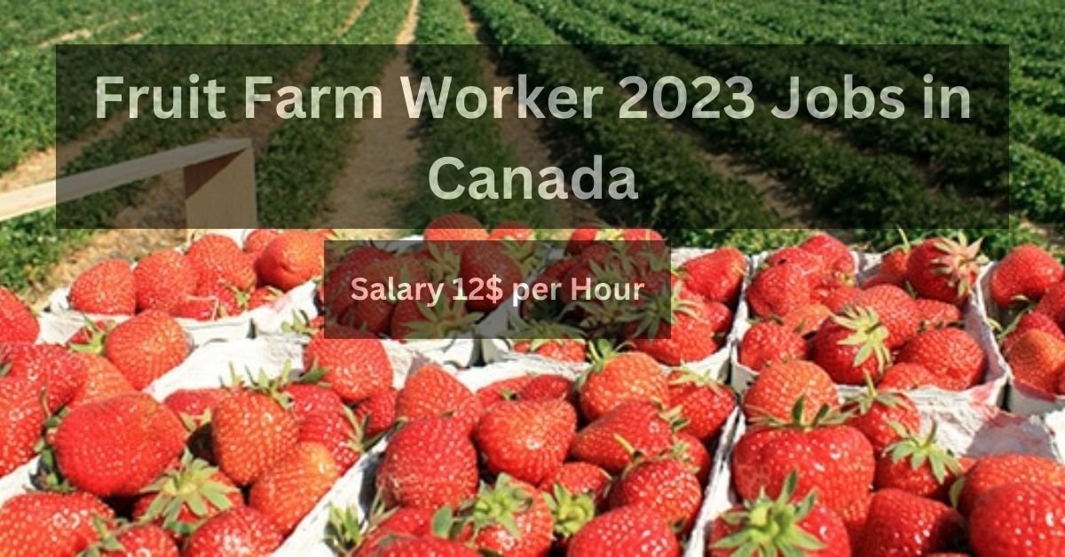 Fruit Farm Worker 2023 Jobs in Canada