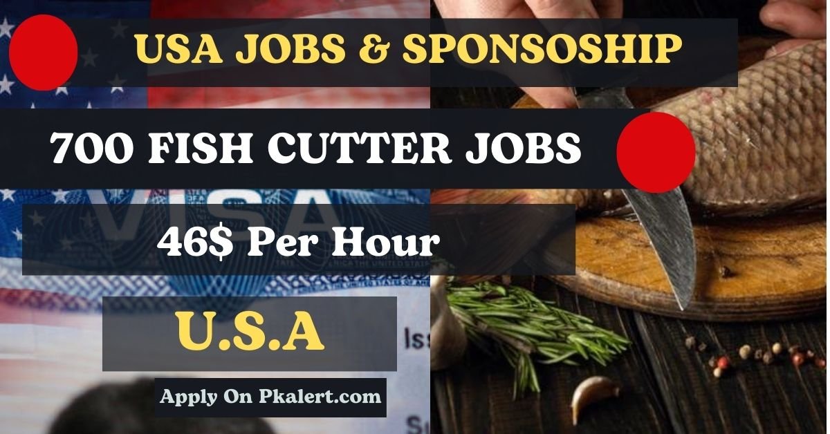 Fish Cutter Jobs In USA With Visa Sponsorship 2023/2024