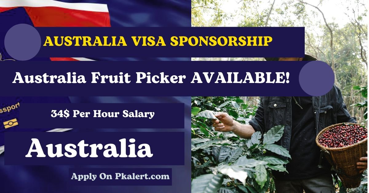 Australia Fruit Picker Jobs With Visa Sponsorship 2023-2024
