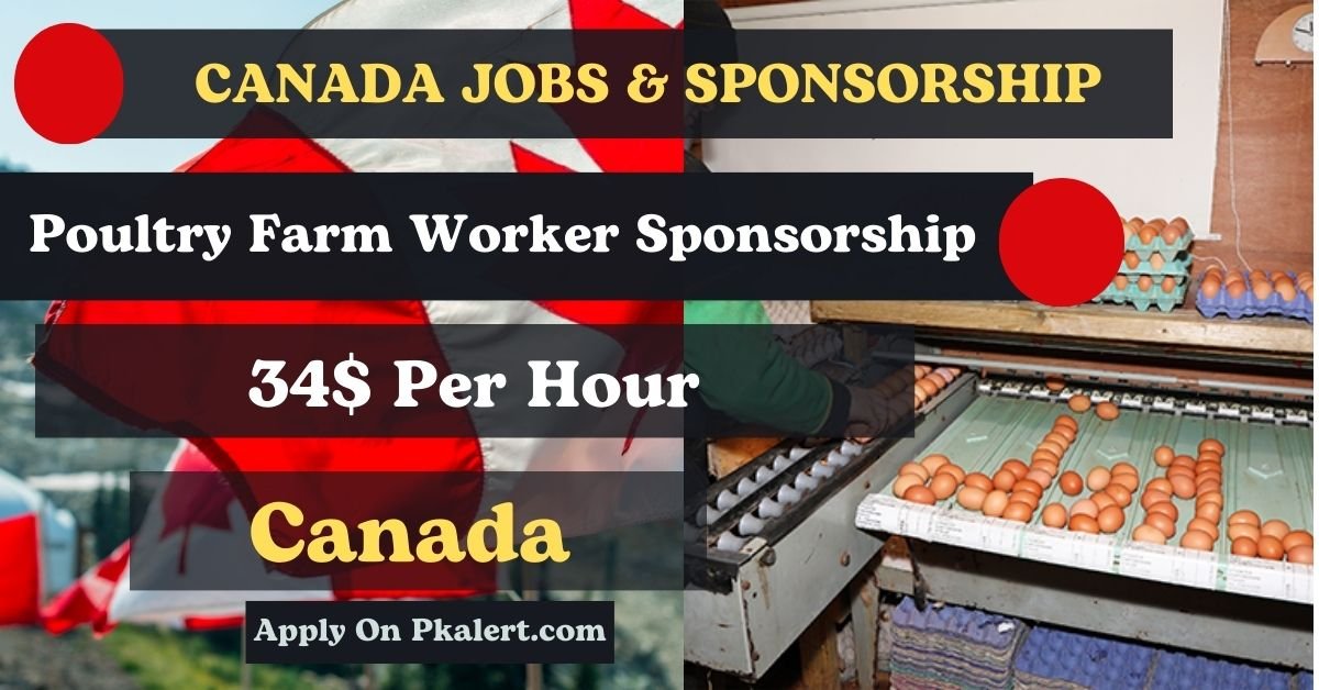 Poultry Farm Worker Sponsorship In Canada 2023/2024 Apply Online
