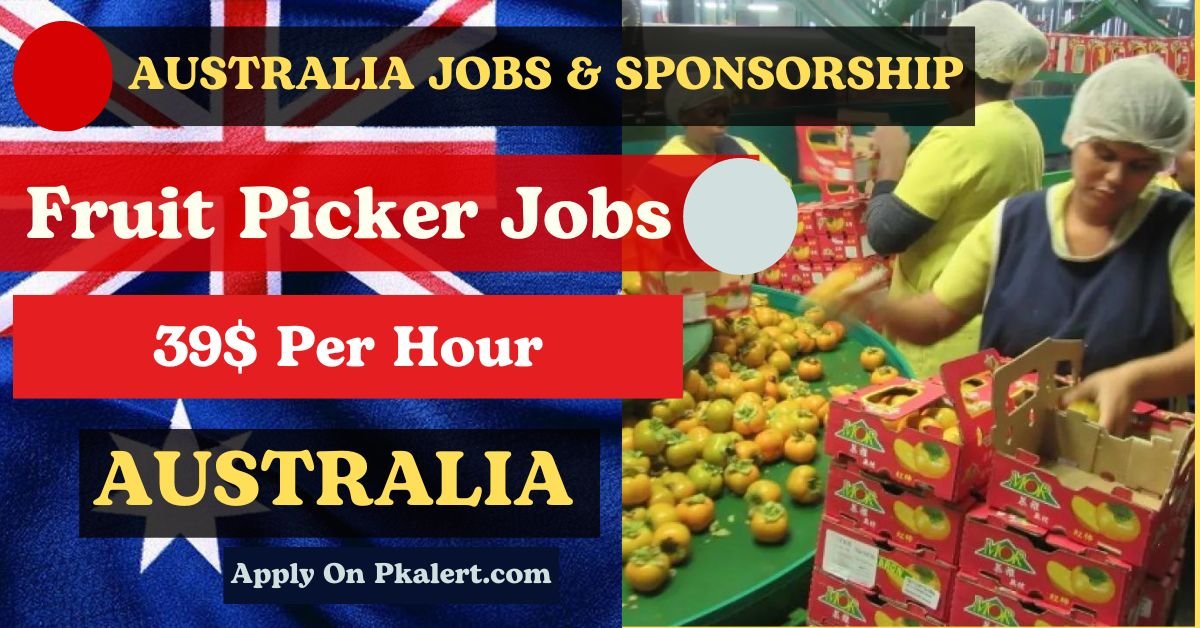 Fruit Picker Jobs in Australia with Visa Sponsorship in 2024