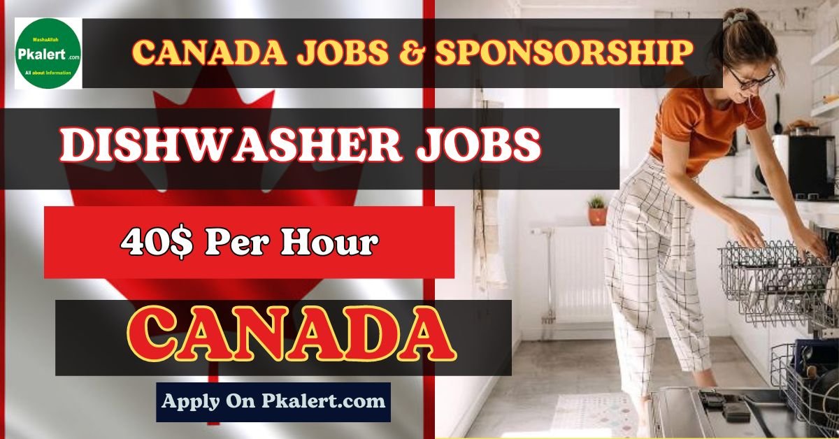 Dishwasher Jobs In Canada With Visa Sponsorship 2024