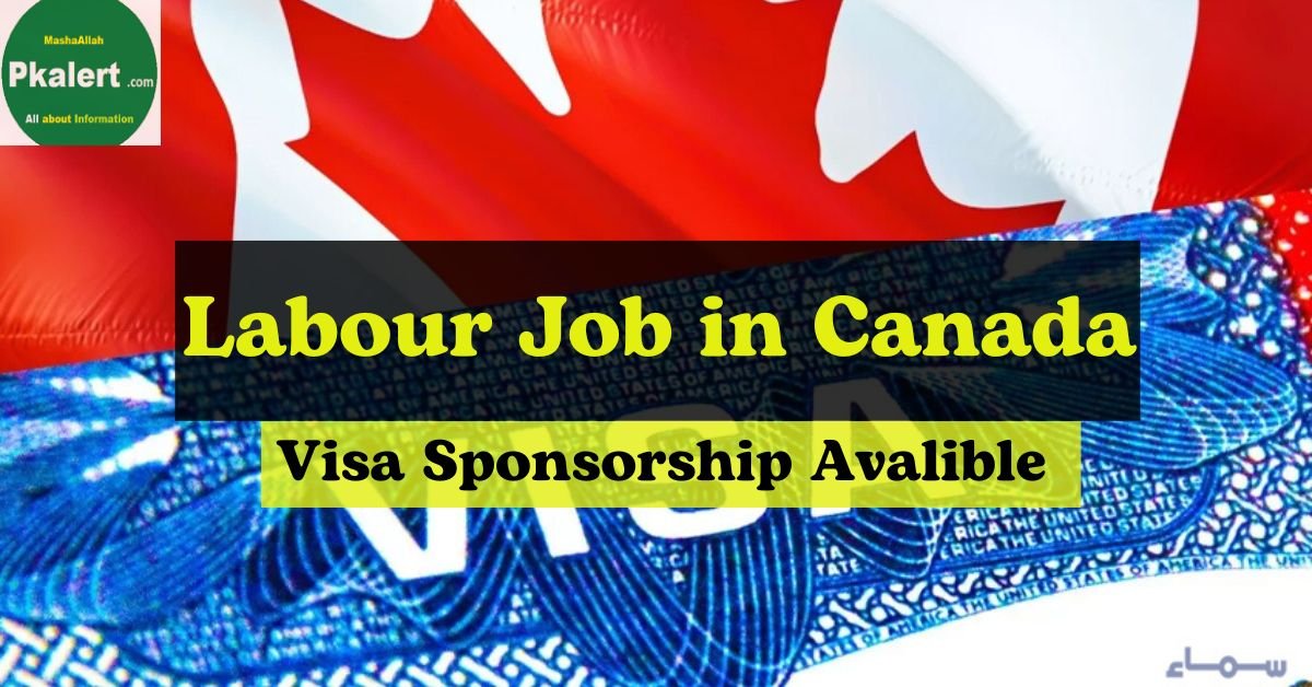 Labour Job in Canada With Visa Sponsorship 2024 Apply Online
