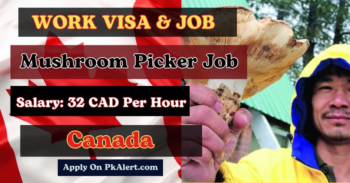 Canada Work Visa & Job: Mushroom Picker (Aylmer, Ontario)