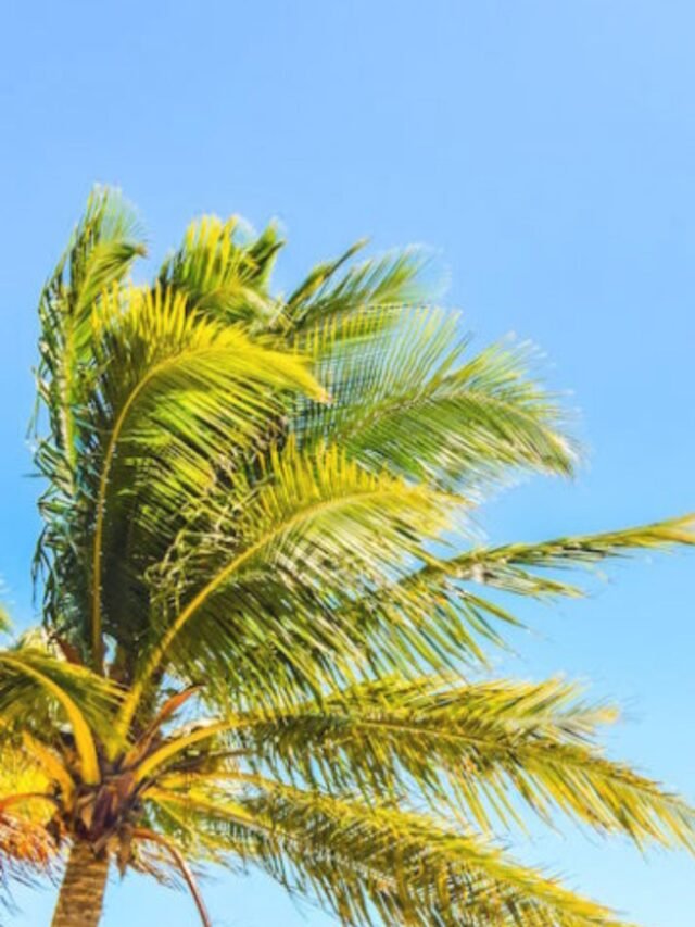 6 Must-Read Travel Reviews Before Planning Your Next Trip
