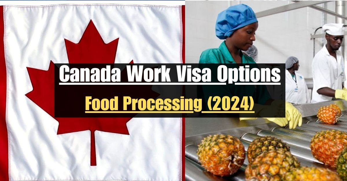 Canada Work Visa Options in Food Processing (2024) - Launch Your Career!