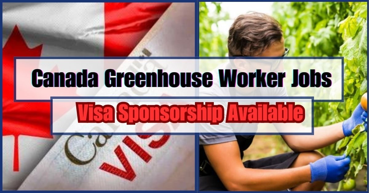 Canada Greenhouse Jobs in April 2024 (Visa Sponsorship Included?)