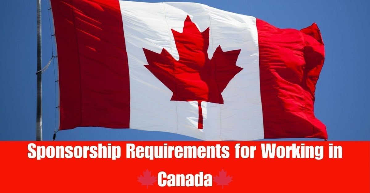Land the Opportunity: Sponsorship Requirements for Working in Canada (April 2024 Update) 1 Land the Opportunity Sponsorship Requirements for Working in Canada (April 2024 Update)