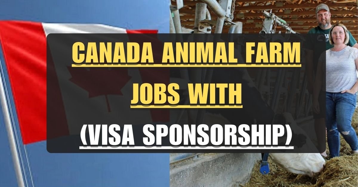 Calling All Animal Whisperers! Work on a Canadian Farm This June (Visa Sponsorship Available!)
