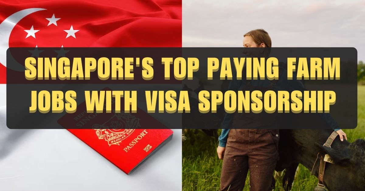 Singapore's Top Paying Farm Jobs with Visa Sponsorship (2024 Update)