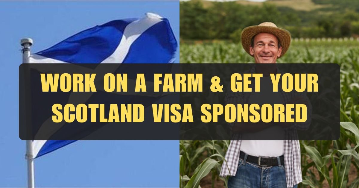 Spring into Scotland! Work on a Farm & Get Your Visa Sponsored (May 2024)