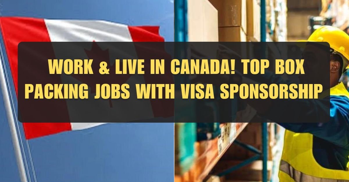 Work & Live in Canada! Top Box Packing Jobs with Visa Sponsorship in 2024