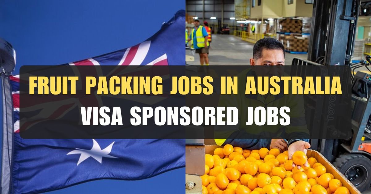 Work Your Way Down Under: Fruit Packing Jobs in Australia with Visa Sponsorship (2024 Update)