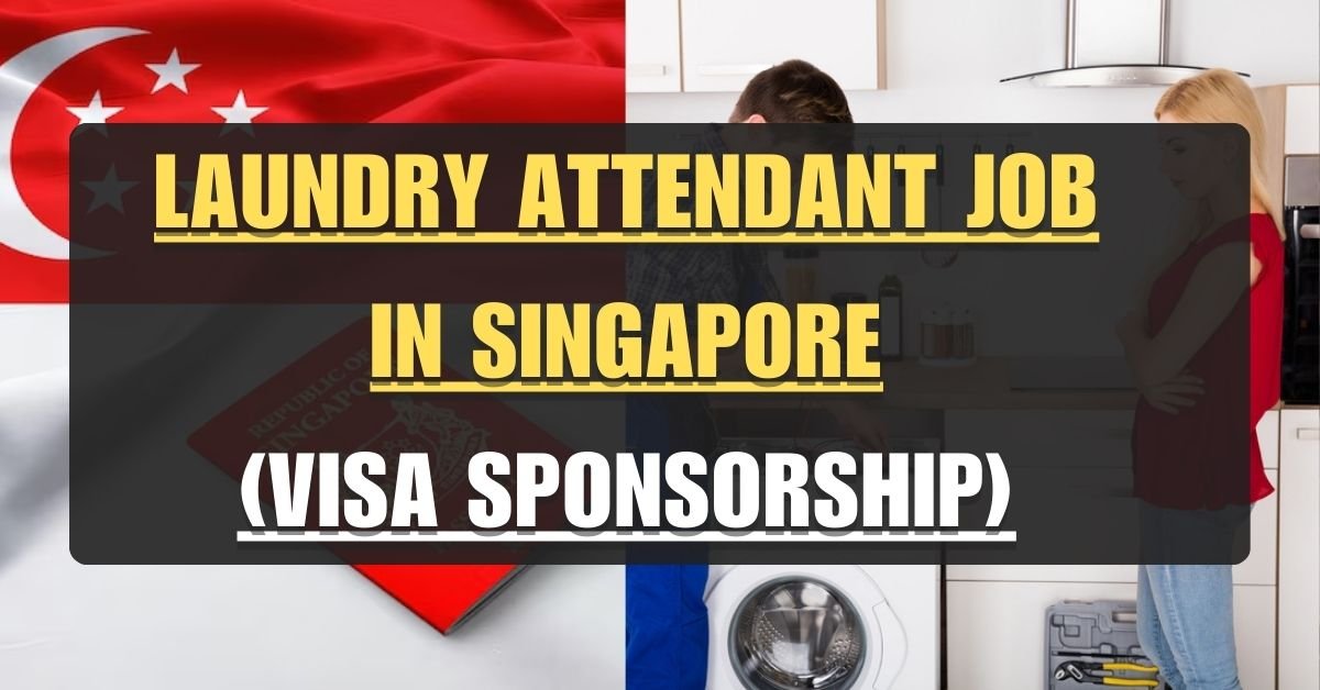 Join Paradox Clarke Quay Pte. Ltd. as a Laundry Attendant in Singapore 2024 1 Join Paradox Clarke Quay Pte. Ltd. as a Laundry Attendant in Singapore 2024