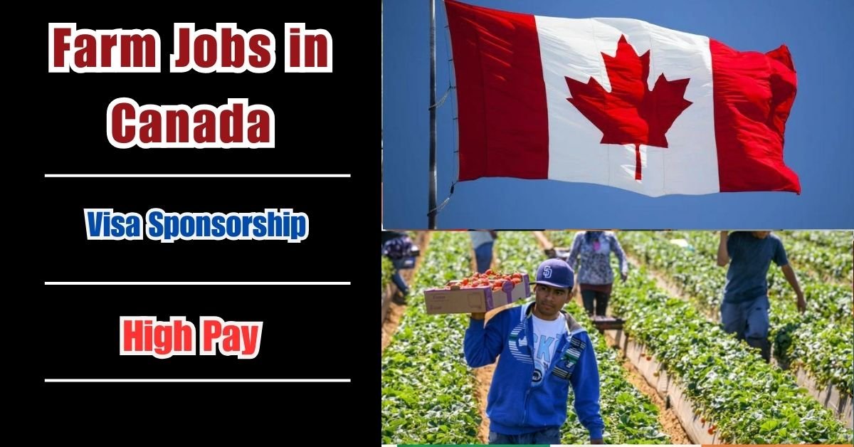 Farm Jobs in Canada 2024: Free Visa & High Pay