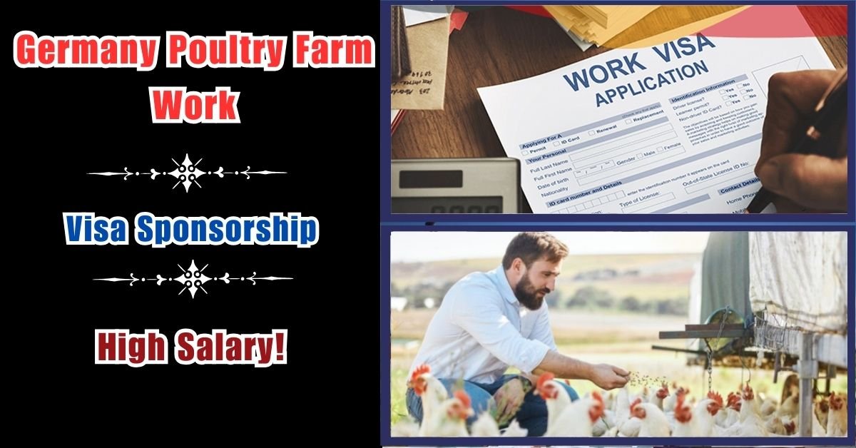 Germany Poultry Farm Work with Visa Sponsorship 2024