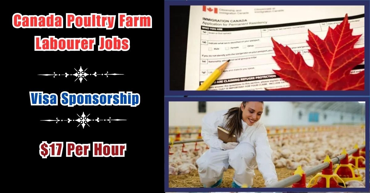 Poultry Farm Labourer Jobs With Visa Sponsorship in Canada – 2024