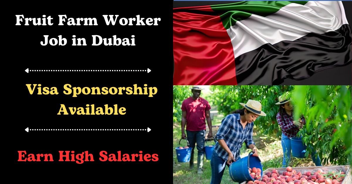 Fruit Farm Worker Job in Dubai with Visa Sponsorship: Apply Now for a Fresh Start!