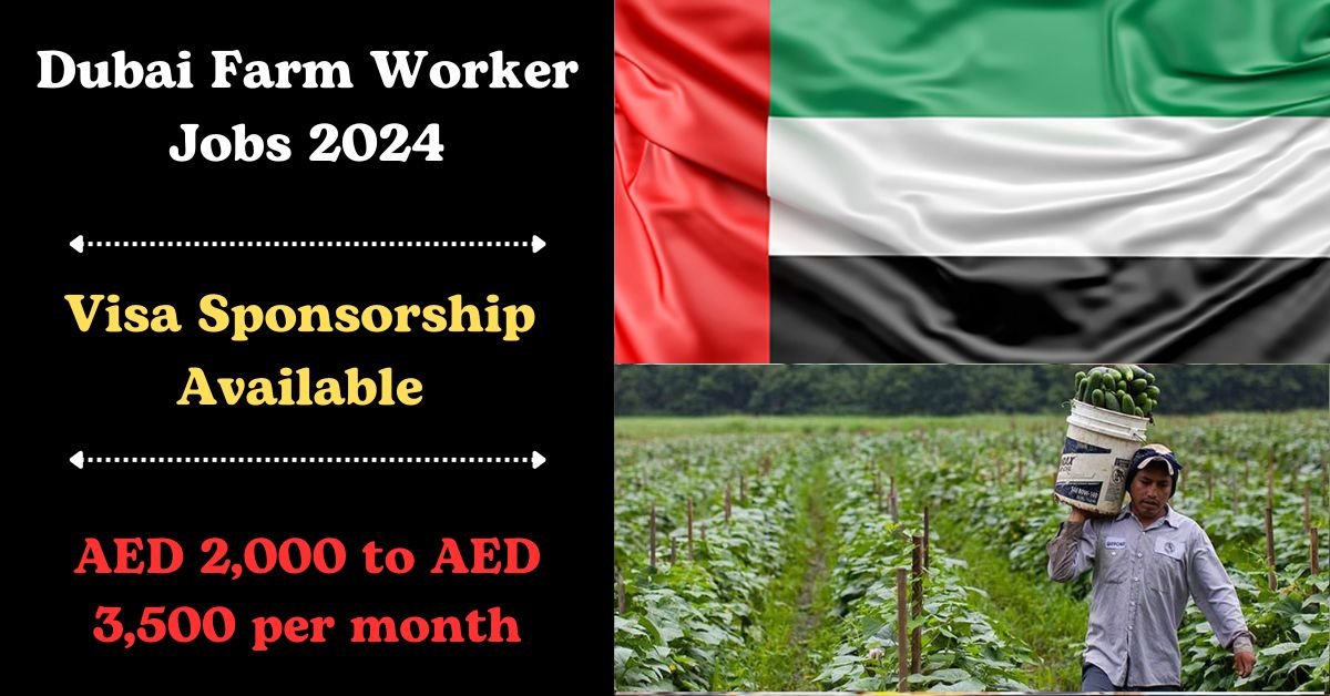Dubai Farm Worker Jobs 2024