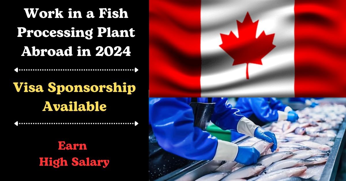 200+ Visa Sponsorships Available: Work in a Fish Processing Plant Abroad in 2024 1 200+ Visa Sponsorships Available: Work in a Fish Processing Plant Abroad in 2024
