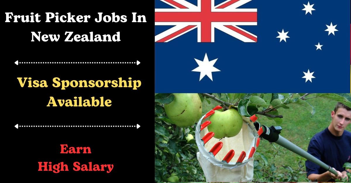 Your Dream Opportunity Abroad: 2024 Visa Sponsored Fruit Picker Jobs—Apply Now! 1 2024 Visa Sponsored Fruit Picker Jobs