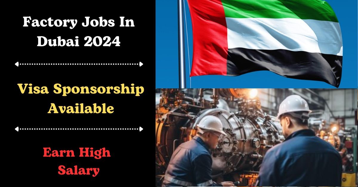 Factory Visa Sponsorship Jobs in Dubai 2024
