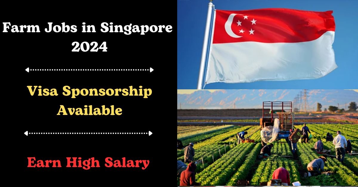 Farm Jobs in Singapore with Visa Sponsorship 2024
