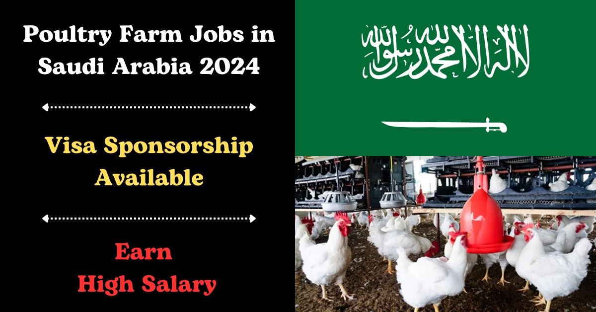 100+ Visa Sponsorship Poultry Farm Jobs in Saudi Arabia