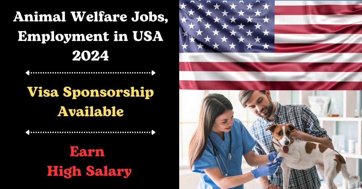 Visa Sponsorship Animal Welfare Jobs, Employment in USA 2024