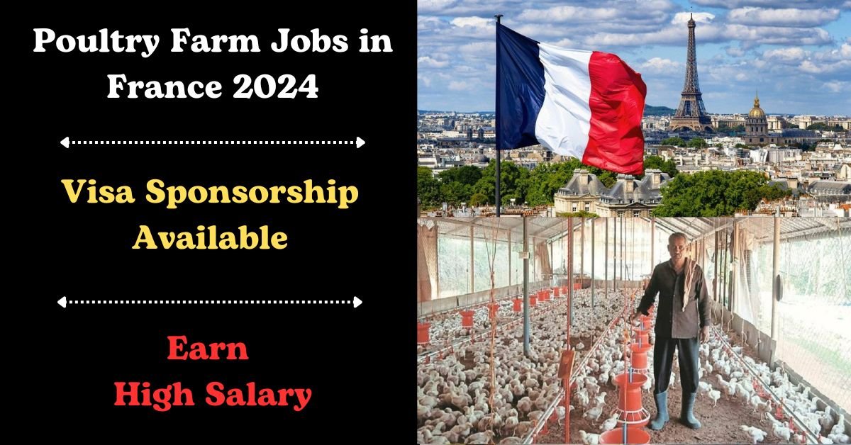 Poultry Farm Jobs in France with Visa Sponsorship