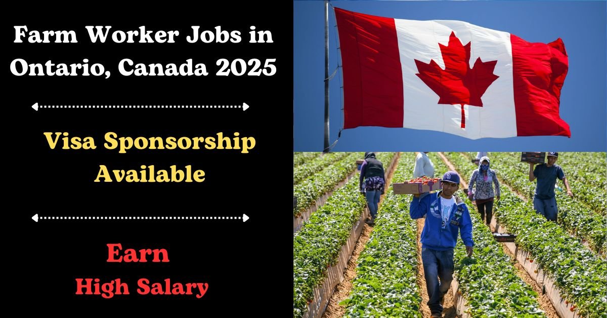 Visa Sponsorship Farm Worker Jobs in Ontario, Canada: