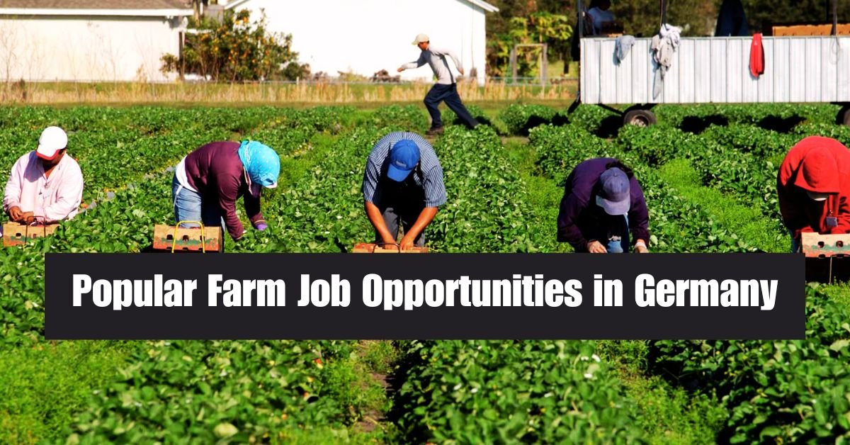 200 Germany Visa Sponsorship Farm Jobs and Work: The Ultimate Guide for 2025 3 200 Germany Visa Sponsorship Farm Jobs and Work 1