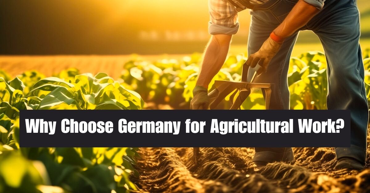 200 Germany Visa Sponsorship Farm Jobs and Work: The Ultimate Guide for 2025 2 200 Germany Visa Sponsorship Farm Jobs and Work