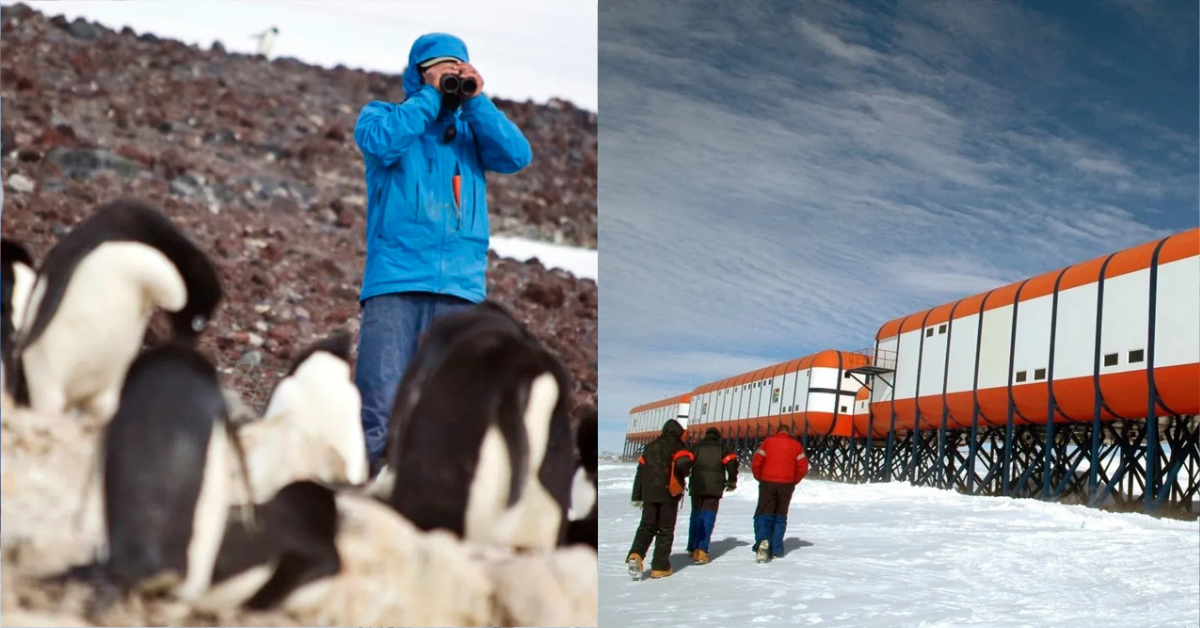 Violent Outburst at Antarctica’s Sanae IV Base: What Drove the Scientist to Snap? Exclusive Expert Insights