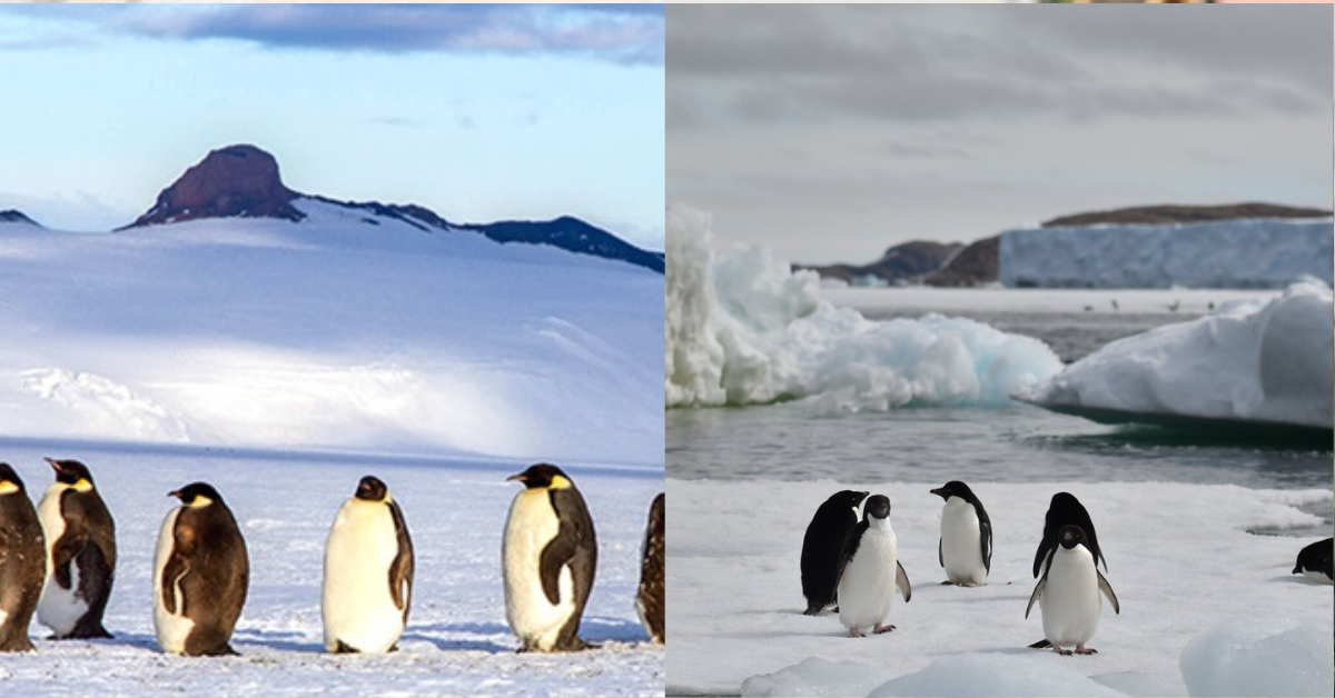 Violent Outburst at Antarctica’s Sanae IV Base: What Drove the Scientist to Snap? Exclusive Expert Insights 4 3nd
