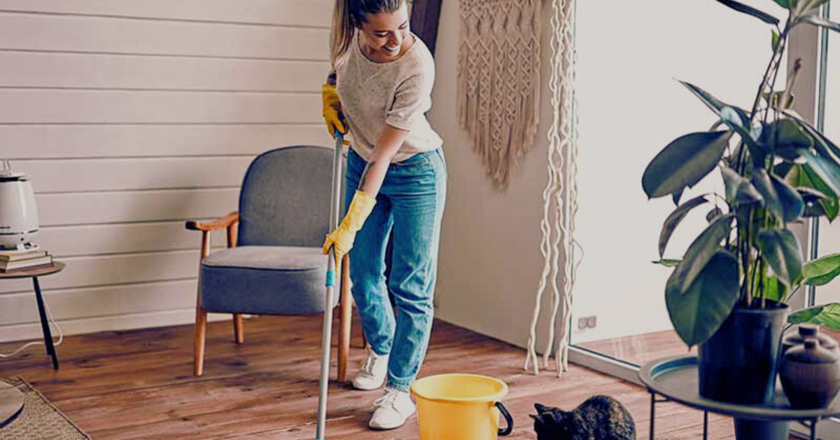 Canada Cleaning Jobs with Visa Sponsorship 2025: Your Complete Guide to Opportunities and How to Apply 2 Canada Cleaning Jobs with Visa Sponsorship 2025