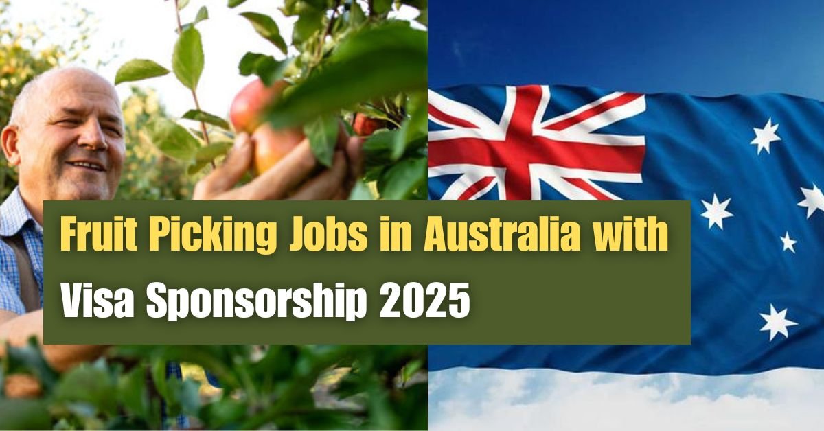 Fruit Picking Jobs in Australia with Visa Sponsorship 2025