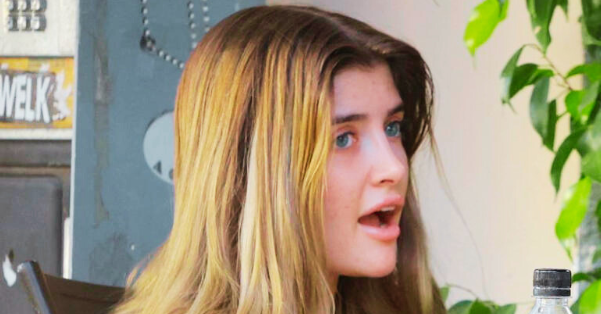 Sami Sheen Opens Up About Bullying, Rhinoplasty, and Her Desire to Resemble Mom Denise Richards 4 Sami Sheen 1