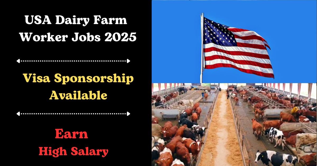 USA Dairy Farm Jobs with Visa Sponsorship 2025: Apply Now 1 USA Dairy Farm Jobs with Visa Sponsorship 2025