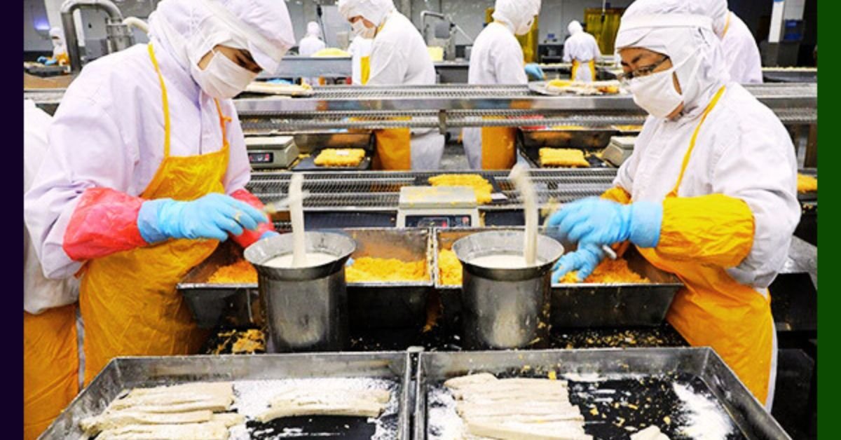 Netherlands Food Production Workers Jobs With Visa Sponsorship 2025: Best Opportunities for International Workers 2 Netherlands Food Production Workers Jobs With Visa Sponsorship 2025
