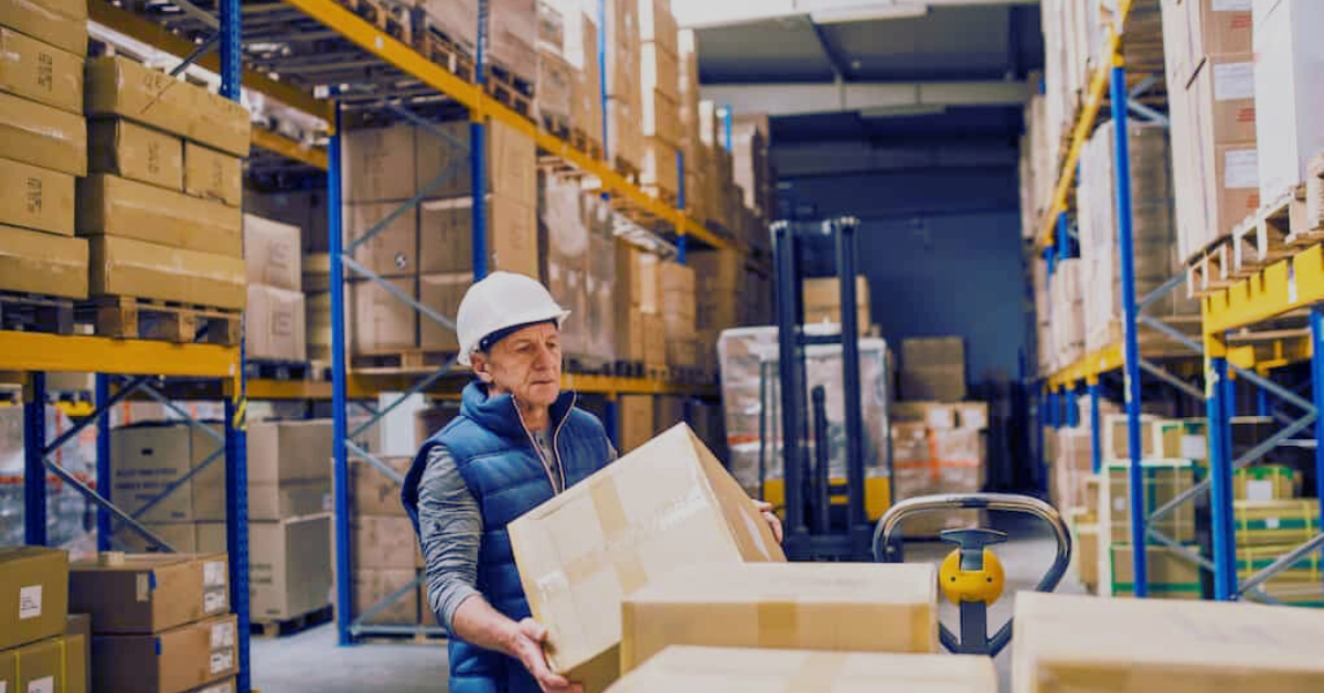 Warehouse Jobs in the Netherlands with Visa Sponsorship 2025: Your Ultimate Guide 2 warehouse jobs in the Netherlands with visa sponsorship 2025