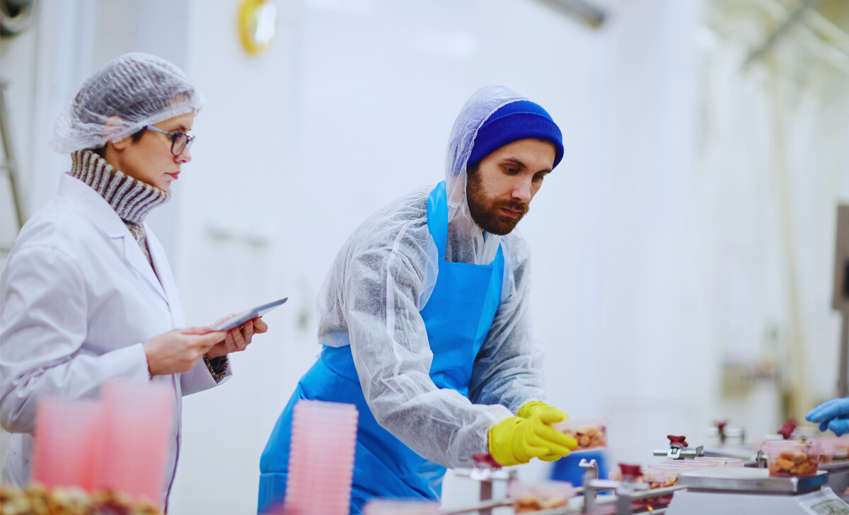 Meat Process Worker Jobs in New Zealand with Visa Sponsorship 2025: A Complete Guide 2 meat process worker jobs in New Zealand with visa sponsorship
