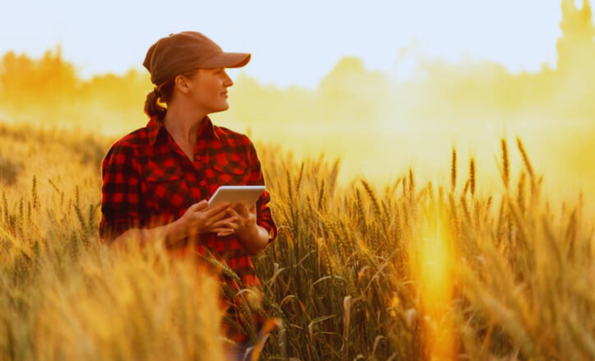 Agriculture Jobs in South Africa with Visa Sponsorship 2025: A Complete Guide 2 Agriculture Jobs in South Africa with visa sponsorship 2025