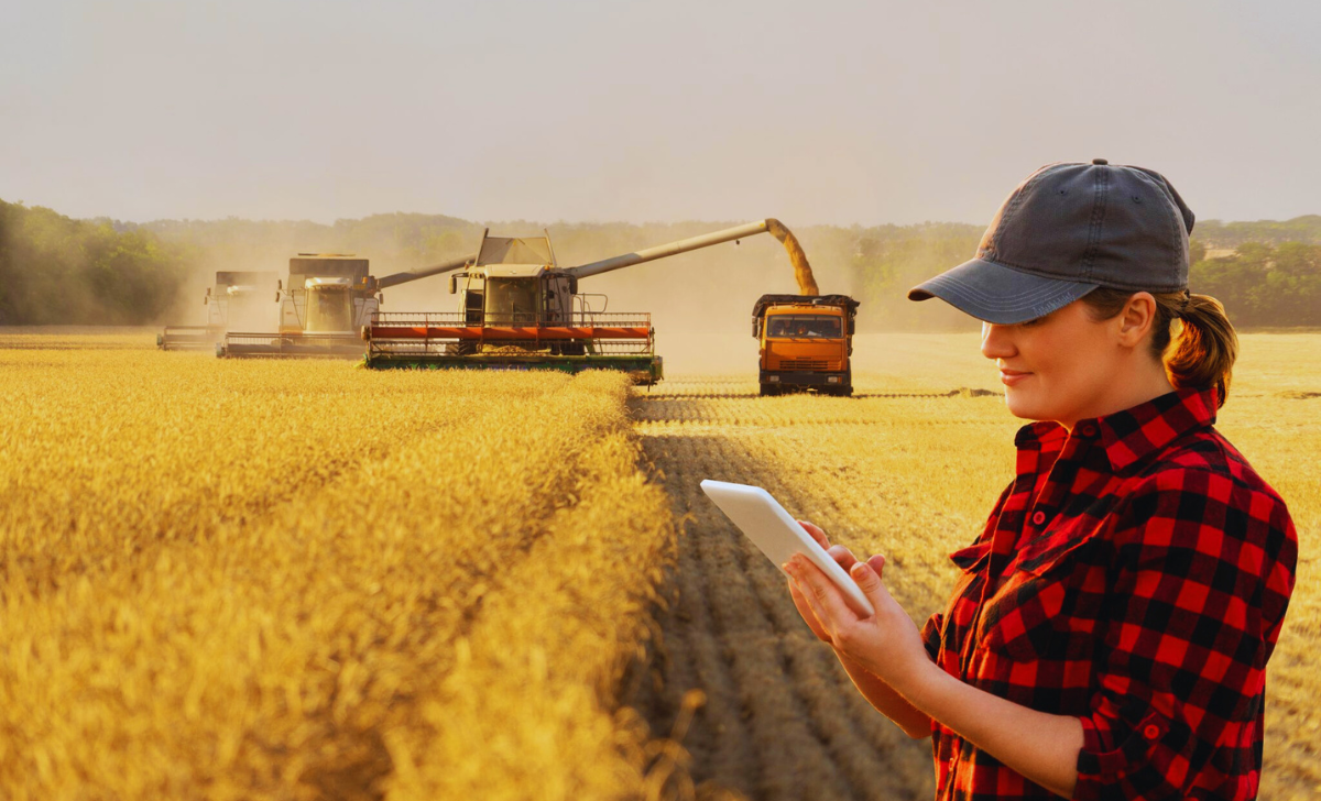 Agriculture Jobs in South Africa with Visa Sponsorship 2025: A Complete Guide 3 Agriculture Jobs in South Africa with visa sponsorship 2025