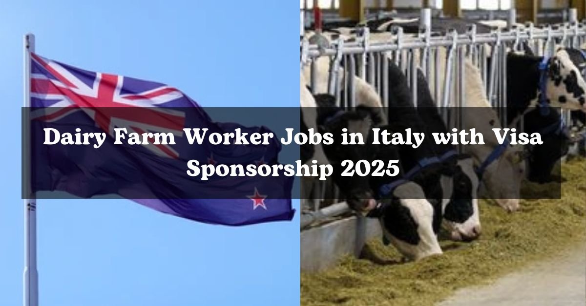 New Zealand Dairy Farm Jobs with Visa Sponsorship 2025